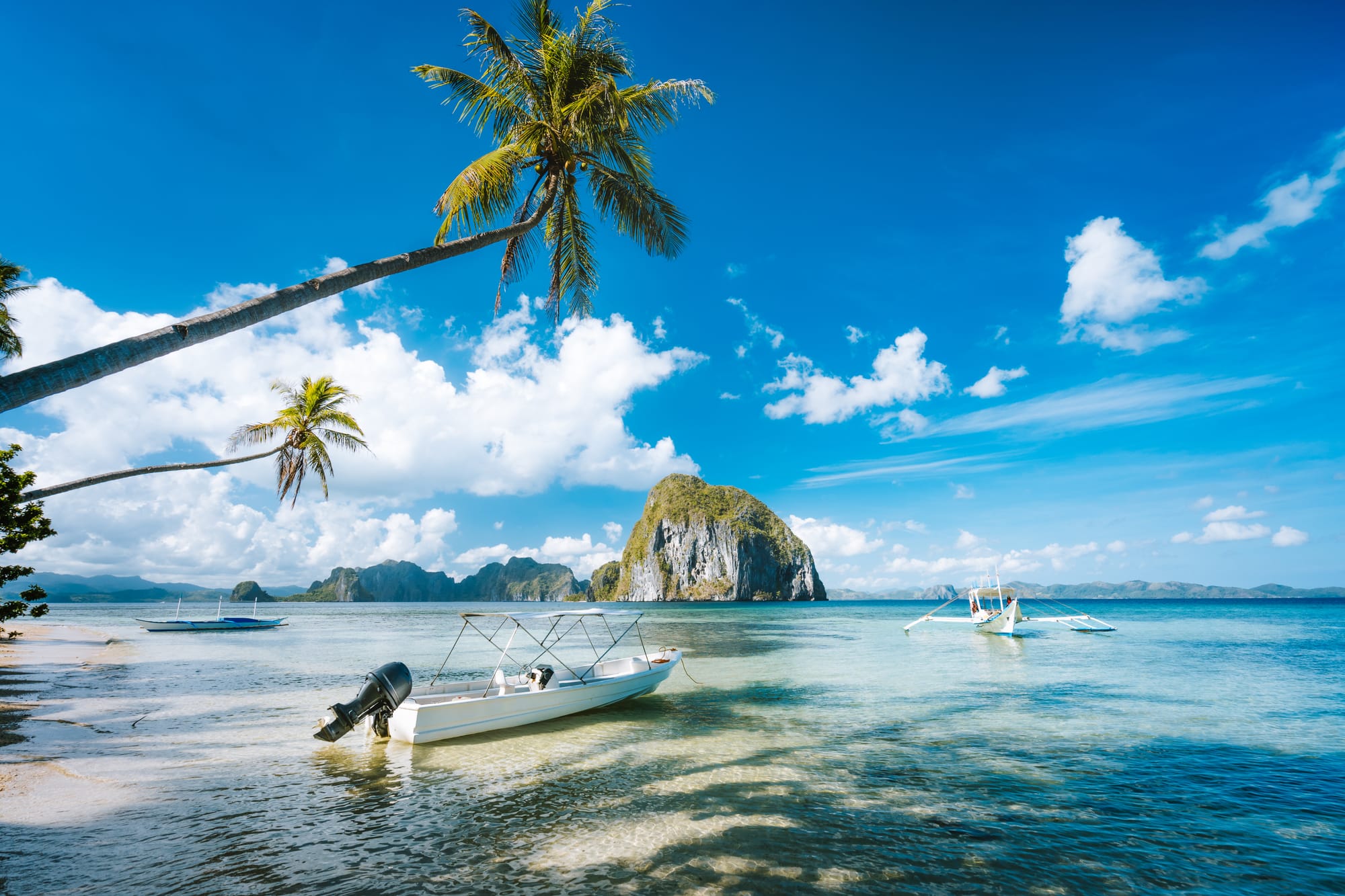 exotic-tropical-seascape-with-palm-tree-jetty-pie-2024-10-18-07-31-37-utc.jpg