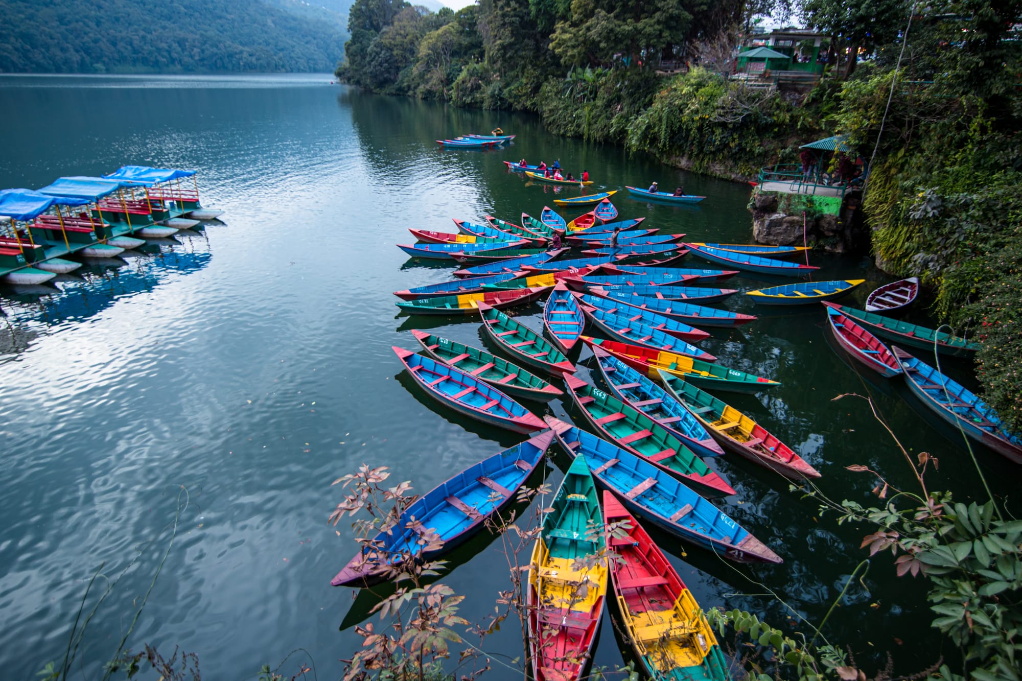 landscape-view-of-phewa-lake-in-pokhara-nepal-2025-03-05-20-49-18-utc.jpg