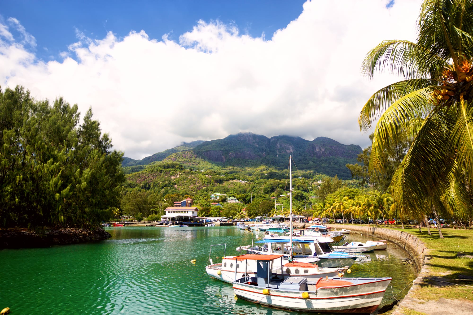marina-in-seychelles-2025-01-15-16-15-15-utc.jpg
