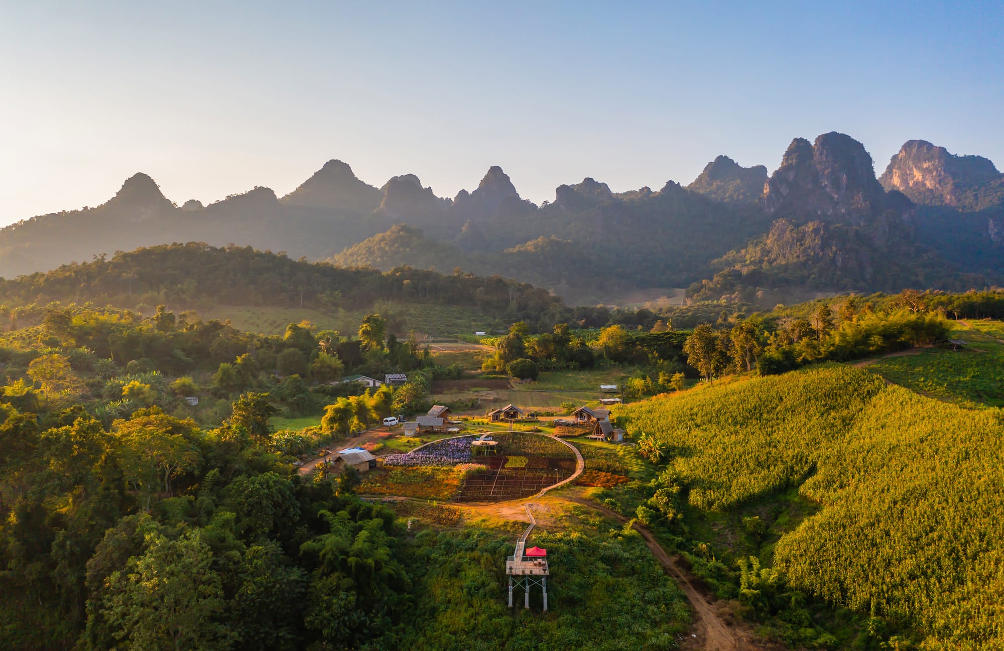 forest-trees-and-green-mountain-hills-nature-land-2024-10-19-23-51-44-utc.jpg